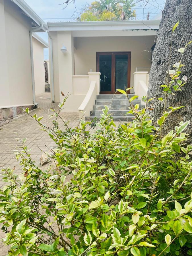C-Vu-Cottage Cosy And Warm Private Apartment Μόσελ Μπέι Εξωτερικό φωτογραφία