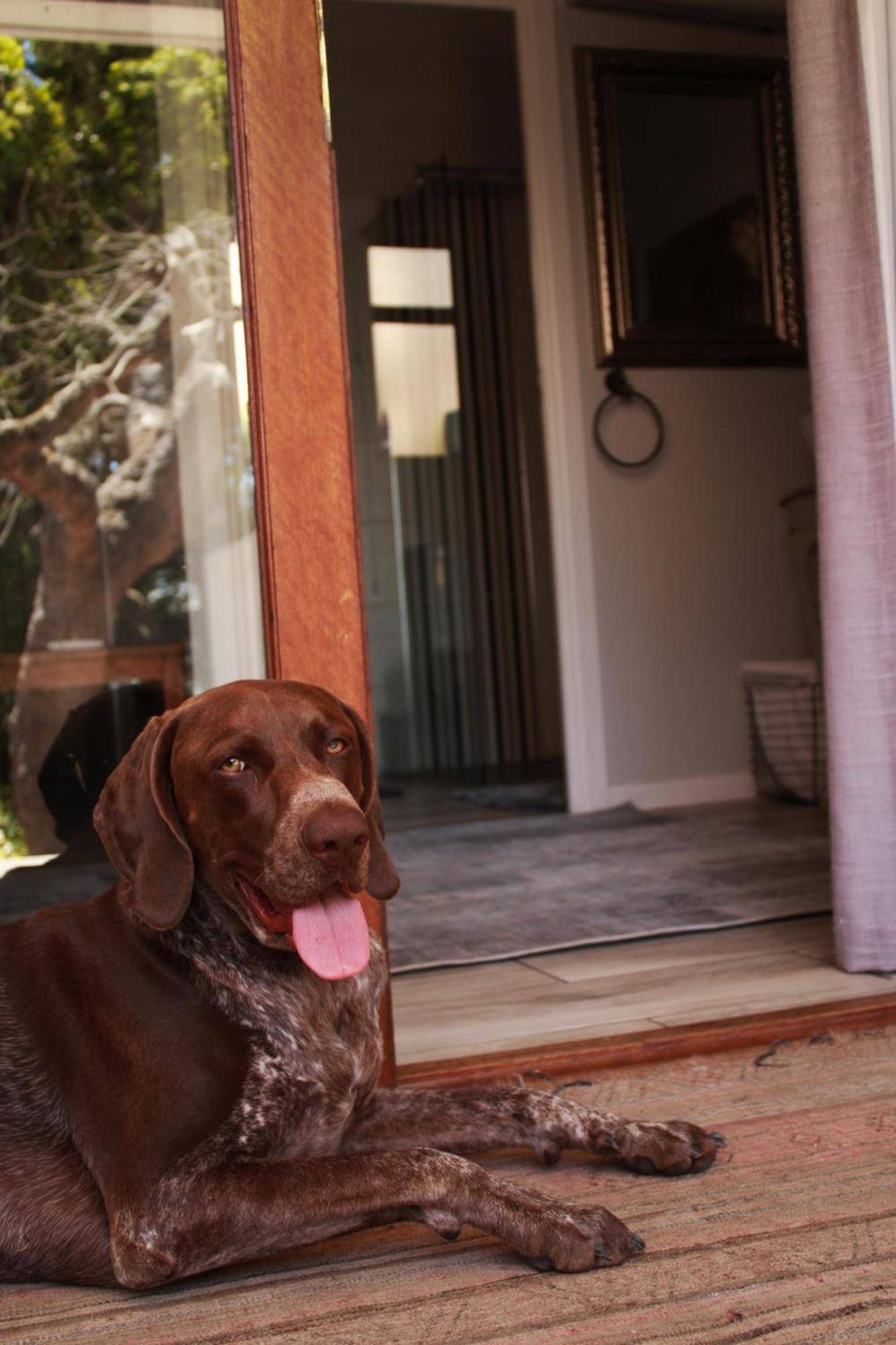 C-Vu-Cottage Cosy And Warm Private Apartment Μόσελ Μπέι Εξωτερικό φωτογραφία
